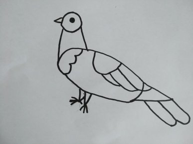 123